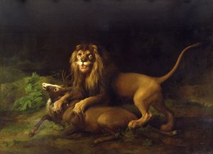 أسد يهاجم الأيل ، ج .765